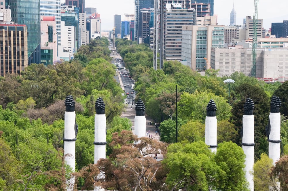 A view of Paseo de la Reforma showing the trees that line the street