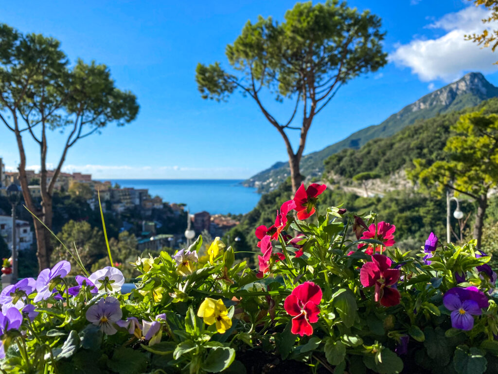Lovely colorful flowers in a garden overlooking the town and beach of Vietri sul Mare on a sunny day