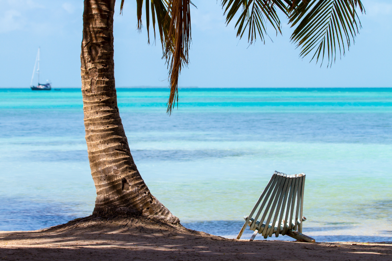 palm tree with a chair below and clear blue water on the coast of belize