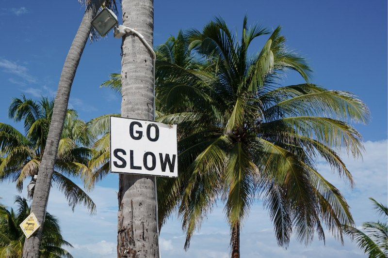 A sign that reads Go Slow, hanging on a palm tree
