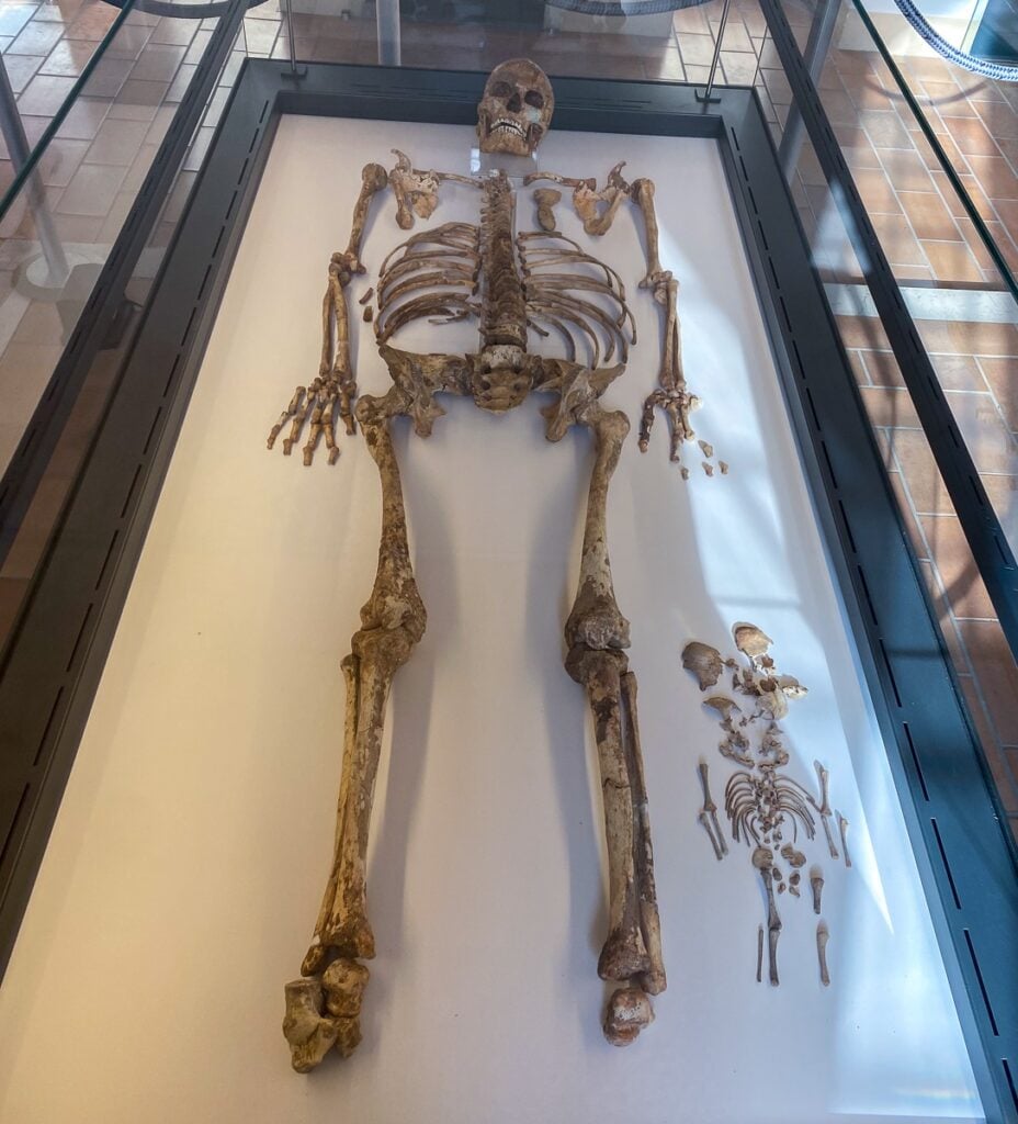 Remains of the woman of Ostuni and her unborn child at the Museum of Pre-Classical Civilization of Southern Murgia. Visiting this museum is one of the things to do in Ostuni, Italy.