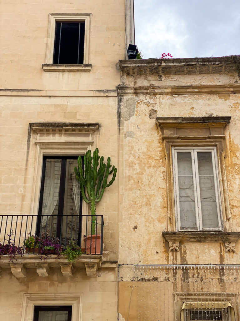 Windows of a house with a balcony decorated with potted plants and flowers