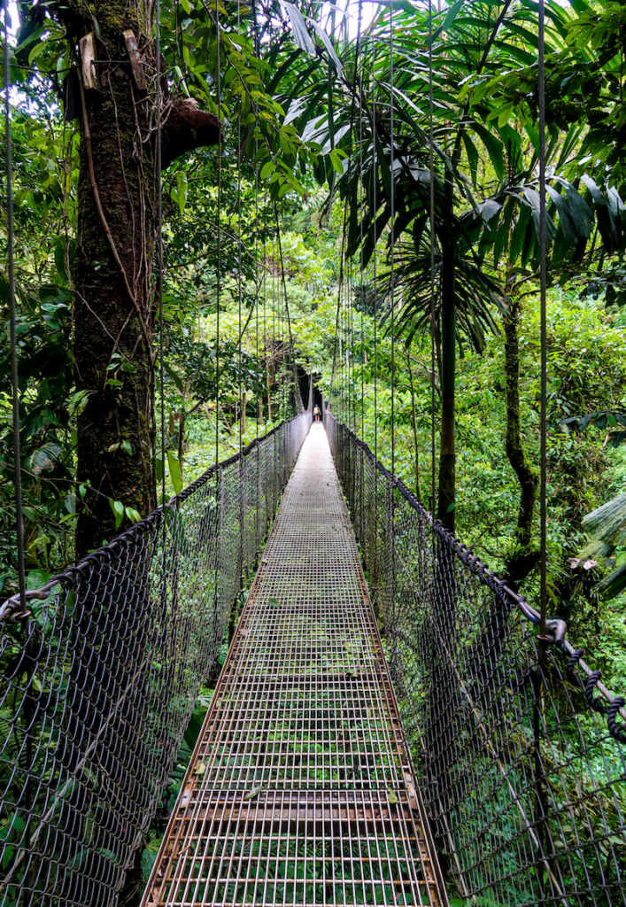 Mistico hanging bridge. When you plan your Costa Rica vacation, don't forget to enjoy the tropical rainforests through hanging bridges.