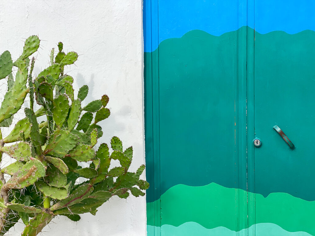 Potted cactus beside the colorful door at Porta Azzurra - one of the best things to see in Ostuni