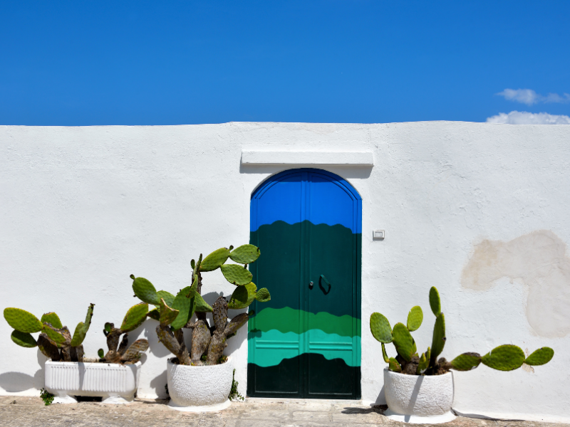 Blue door and potted cacti against a white wall at Porta Azzurra in Ostuni