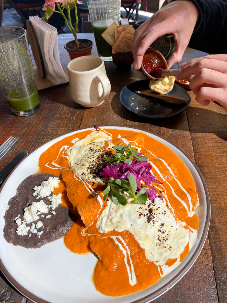 The Raiz. If you're wondering what to eat while in San Miguel de Allende, this delicious Mexican dish from Raices is a must-try.