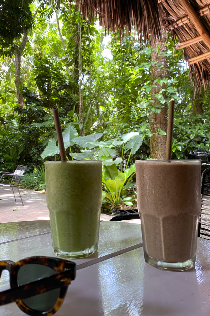 two smoothies in the jungle in nosara costa rica