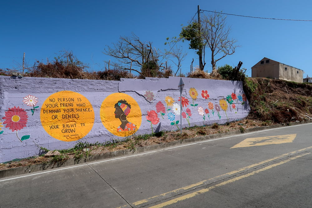 Colorful mural of beautiful Colombian woman and lovely flowers