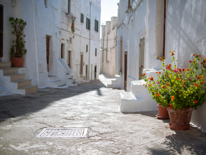 Beautiful alley in Ostuni decorated with potted flowers by the houses' stairs