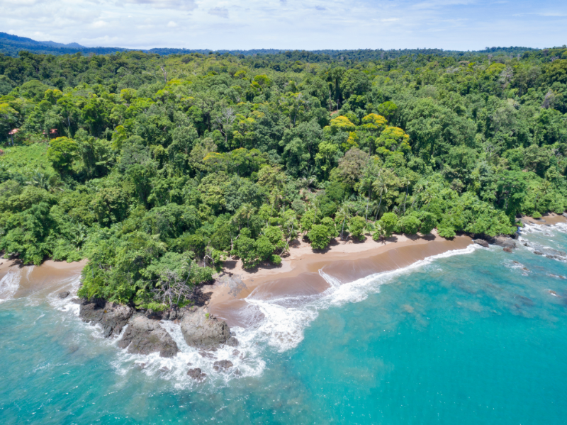 Aerial view of lush jungle trees in Corcovado National Park - a must-add in your Costa Rica itinerary