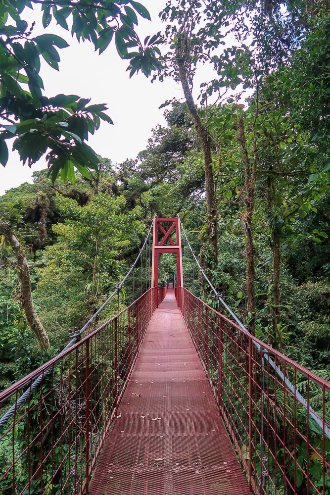 A bridge in Monteverde, Costa Rica