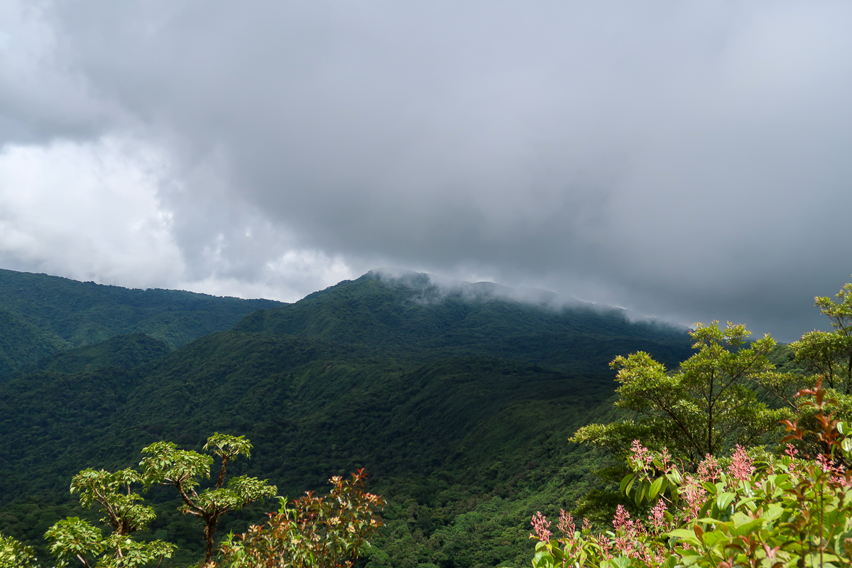 Lush mountain and forests at Monteverde Cloud Forest