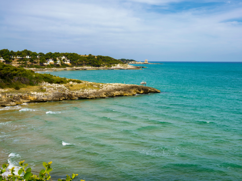 Calm beach in Adriatic Sea