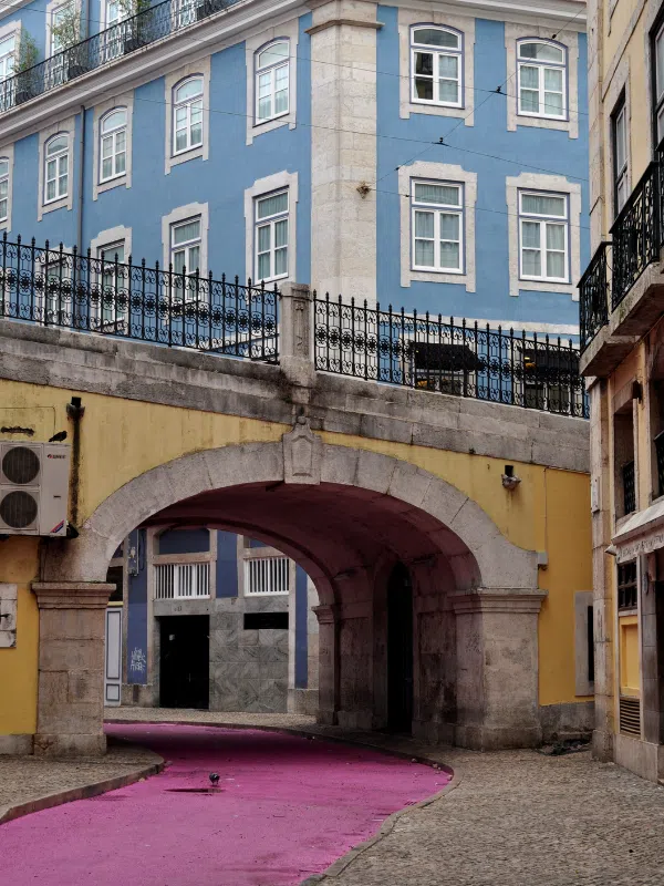 Pedestrian Pink Street in Lisbon, Portugal