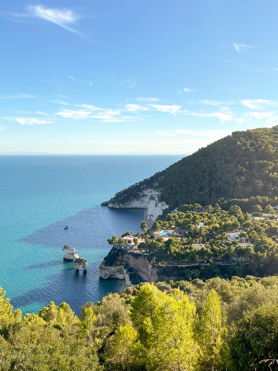 Umbra Forest in Gargano National Park - a must-visit place when you travel in Puglia