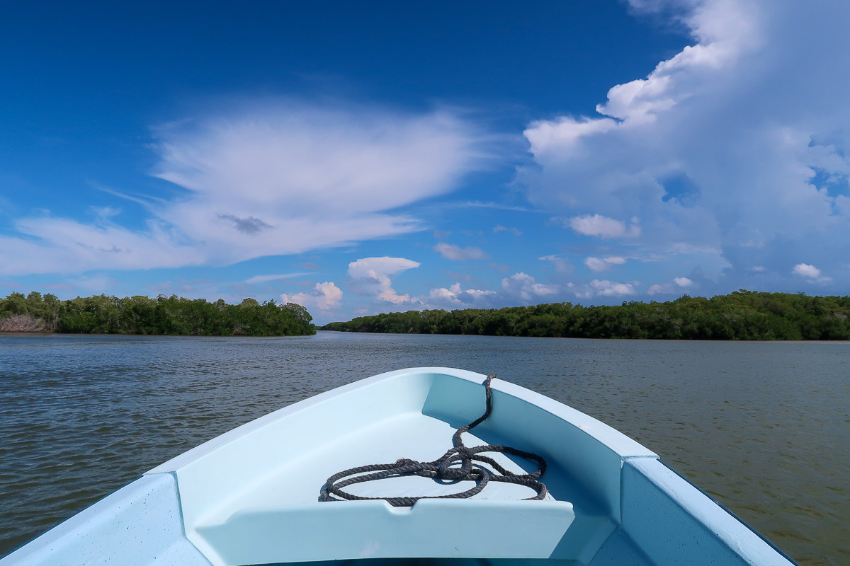 Boating along Rio Lagartos, one of the best things to do in the Yucatan Peninsula
