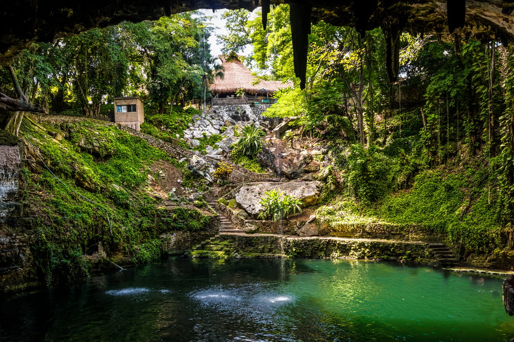 Lush cenote in Valladolid