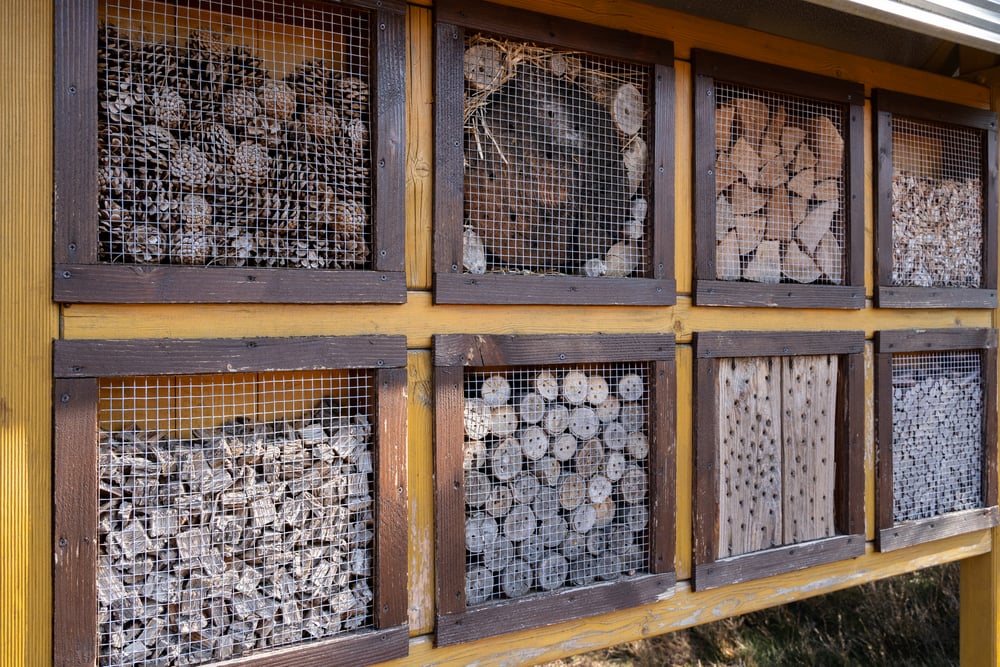 Mayan beehives in Xkopek Beekeeping Park, a must-see in Valladolid