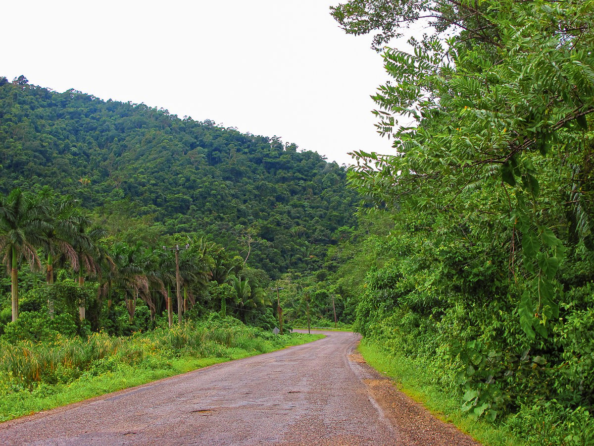 Muddy road surrounded with lush forest trees on a rainy day. This guide provides helpful information on how you can get around in Belize and other travel tips.