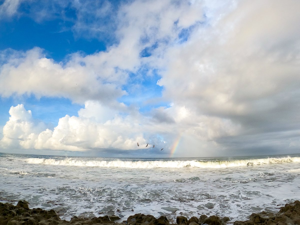 Beautiful view of birds flying over the waves with a rainbow peeking out the thick clouds