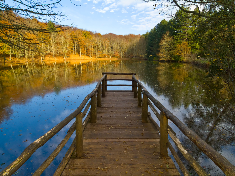 Wooden deck extending towards the lake in Umbra Forest