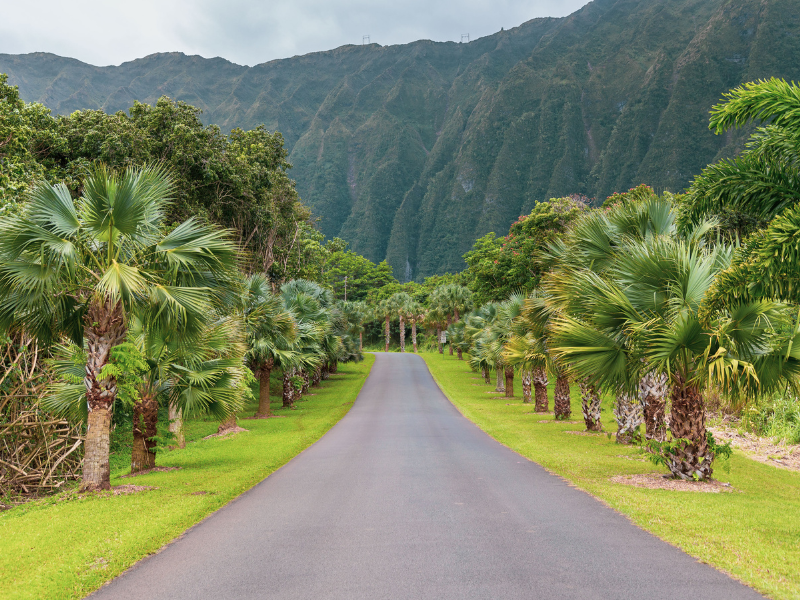 Access road along the Ho'omaluhia Botanical Garden with stunning views of the Koʻolau Range