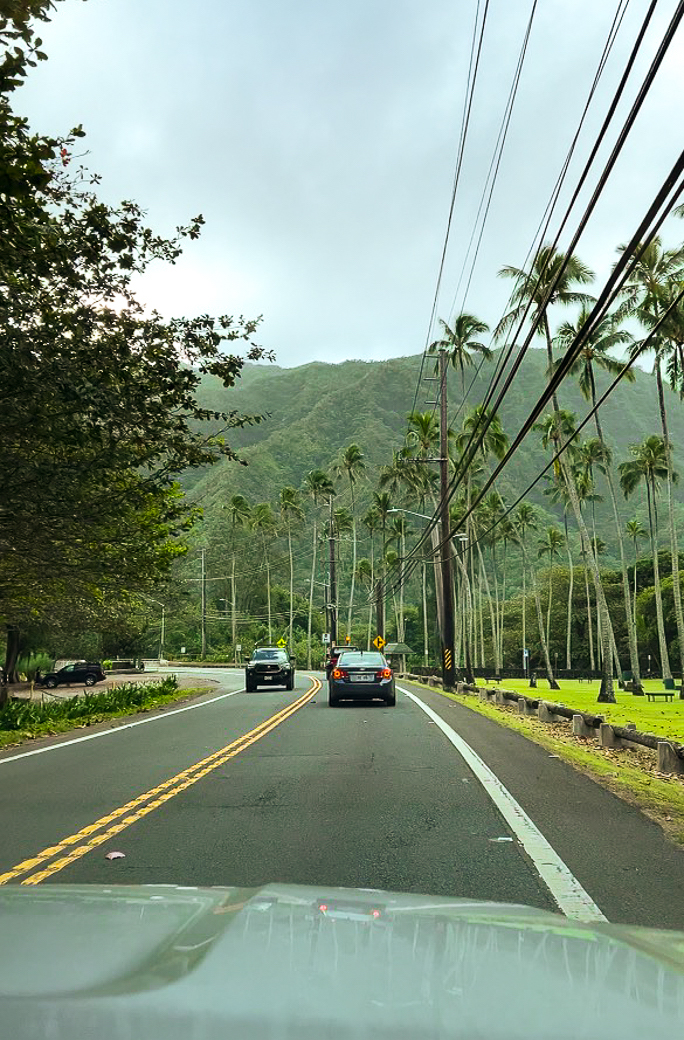 Road in Oahu, Hawaii with views of tall palm trees and mountains
