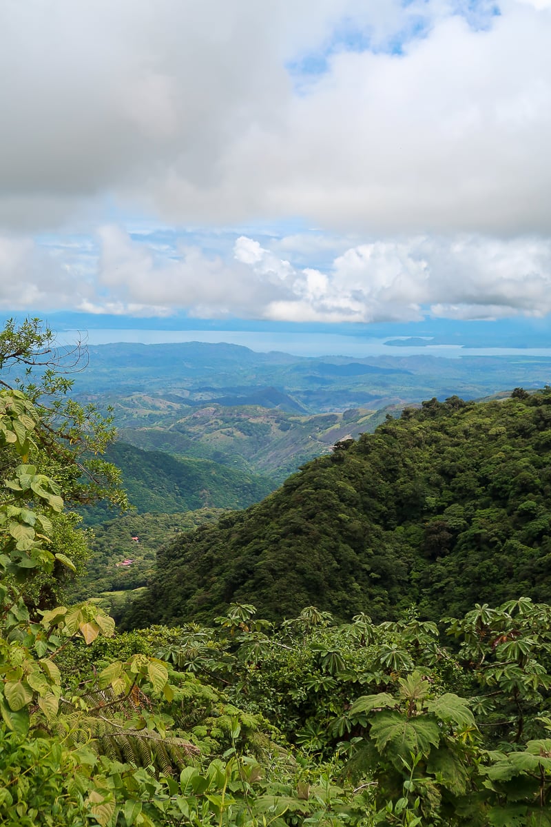 Lush rainforest trees and mountains in Monteverde. Taking a guided tour of the cloud forest is one of the things to in Monteverde.