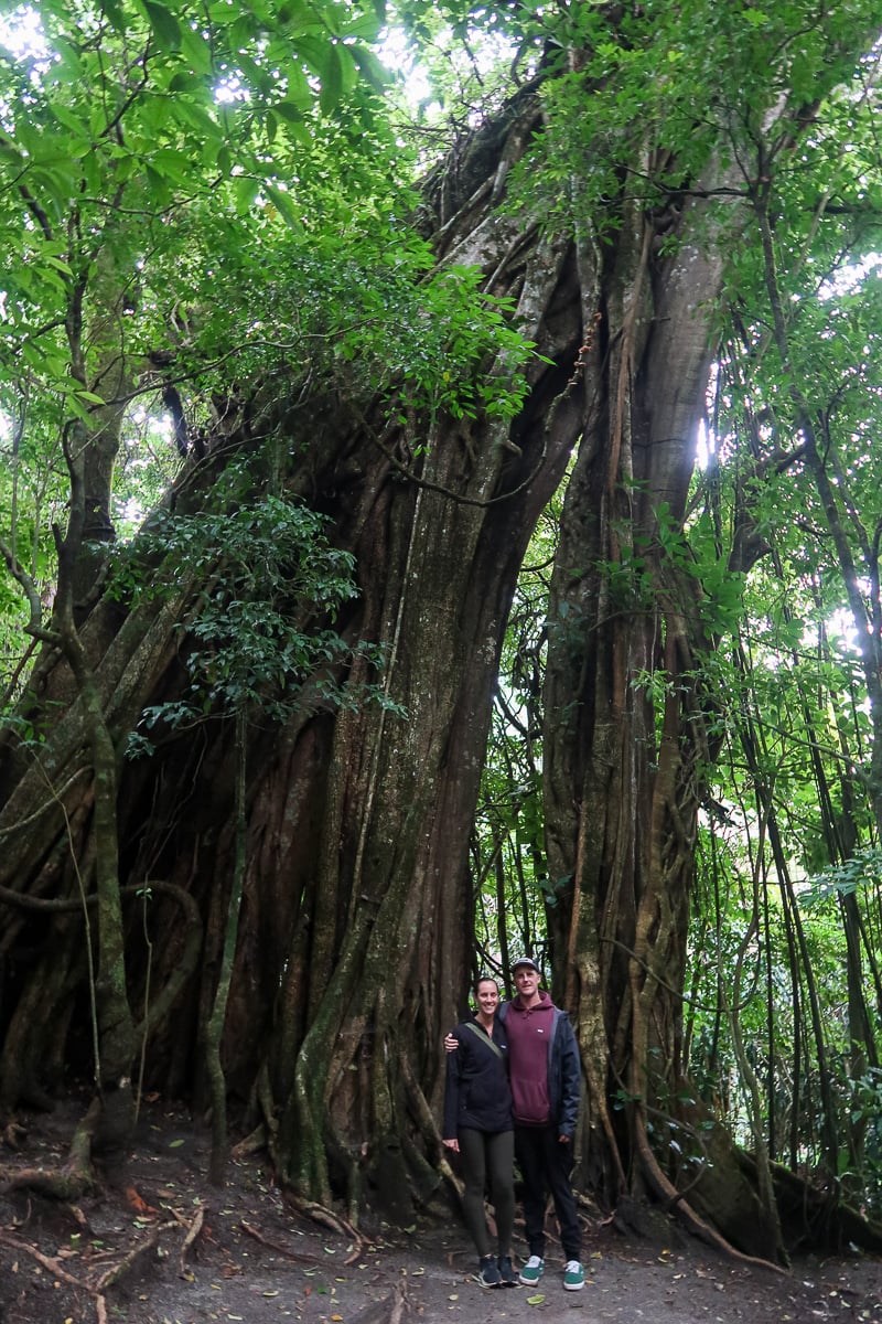 Maddy and Cacey in front of a giant tree in Monteverde