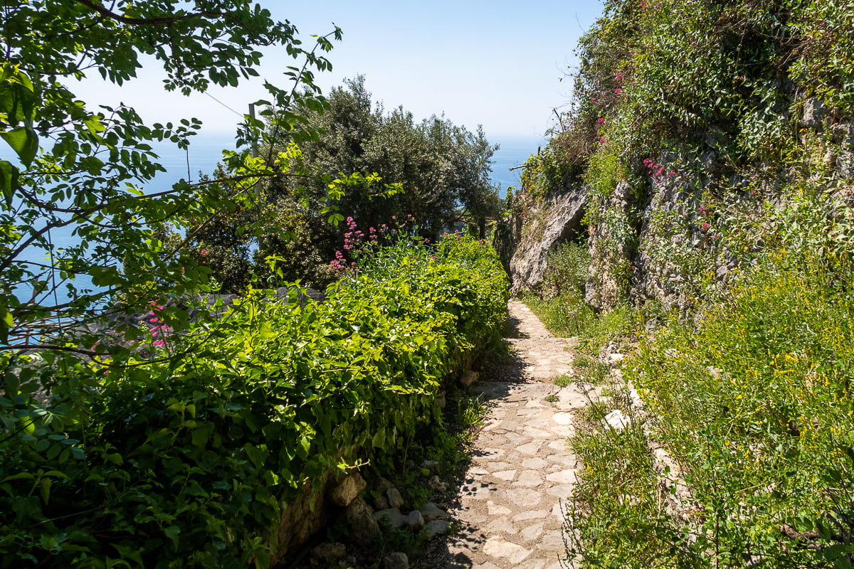 Narrow hiking trail surrounded by green bushes and flowering plants. Exploring the place on foot is one of the best things to do in Ravello.