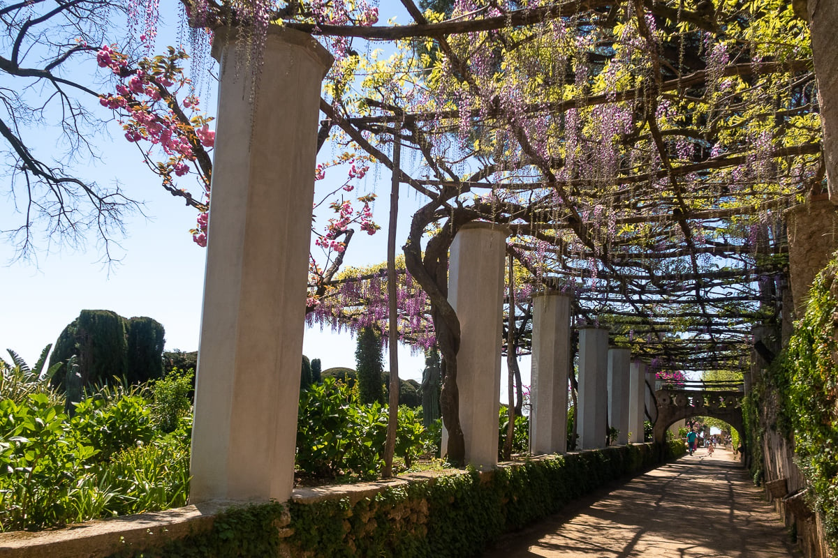 Enchanting garden at Villa Cimbrone with hanging plants as its ceiling