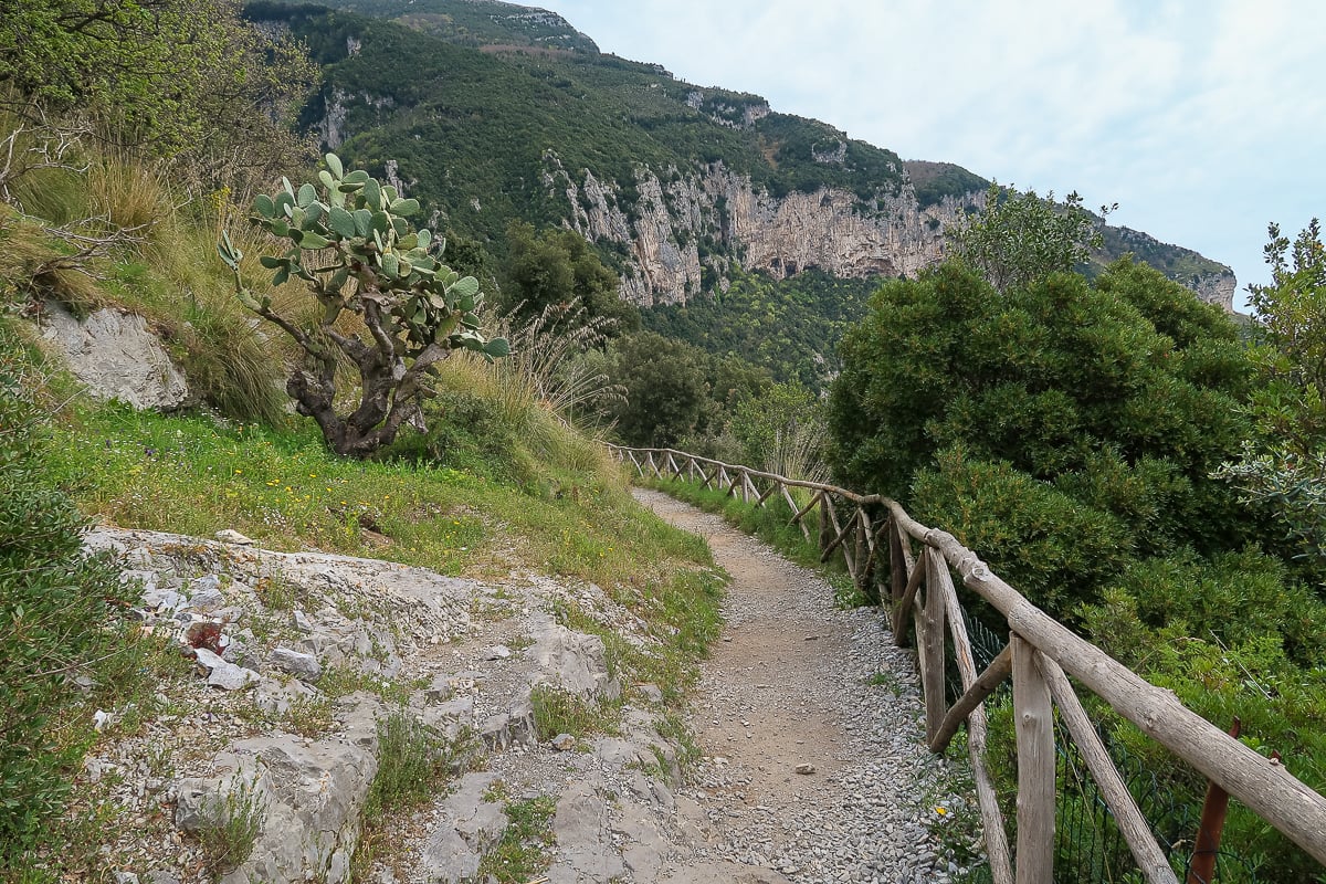 A flat portion of the Path of the Gods trail with a wooden railing, surrounded by greenery