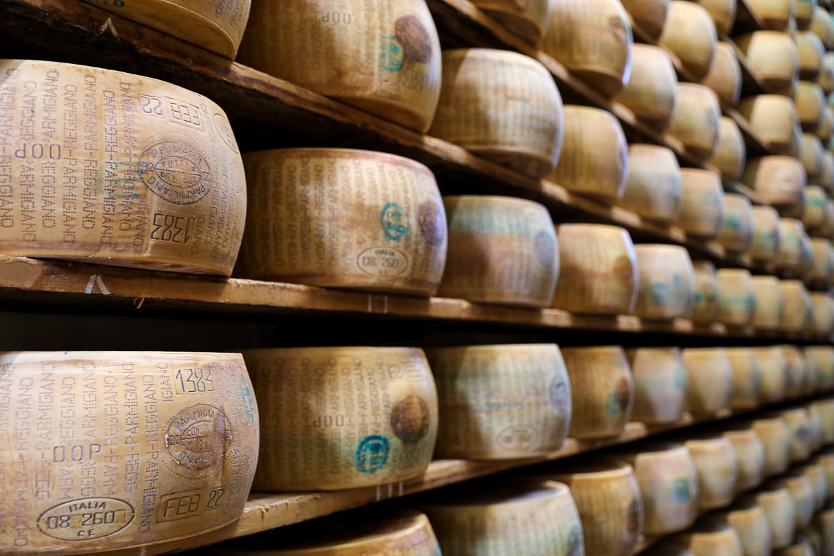 A factory shelf full of aging wheels of Parmigiano Reggiano during a food factory tour from Bologna - this is one of the best things to do in Bologna!