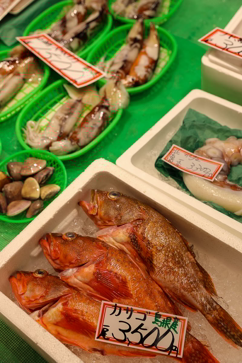 Seafood for sale at Omicho Market, where you can find the best restaurants in Kanazawa