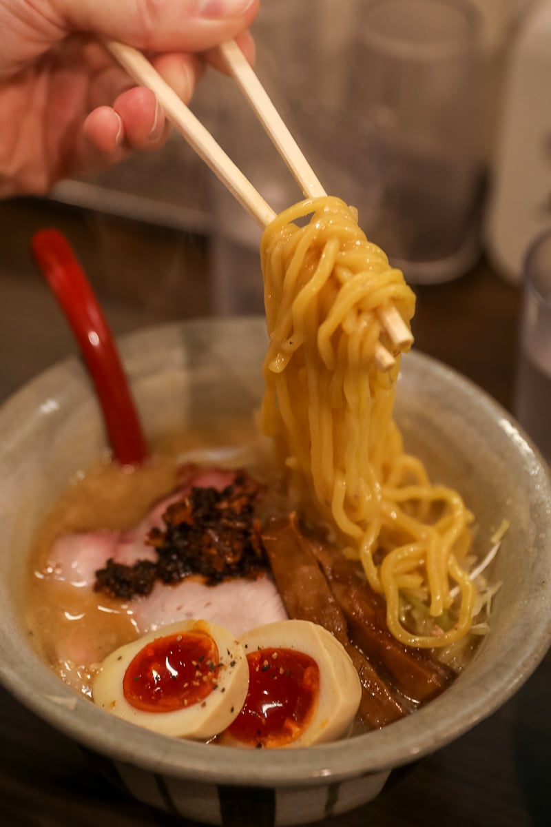 Bowl of miso ramen at Ramen Taiga, one of the best Kanazawa restaurants you'll want to fly for