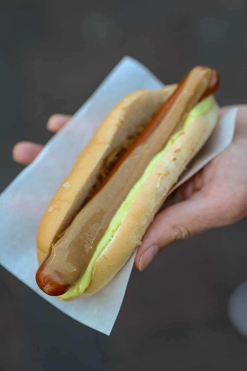 Icelandic lamb hot dog on hand