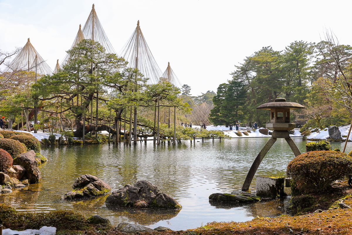 Scenic view of Kenrokuen Garden’s pond and iconic Kotoji stone lantern surrounded by pine trees with yukitsuri ropes.