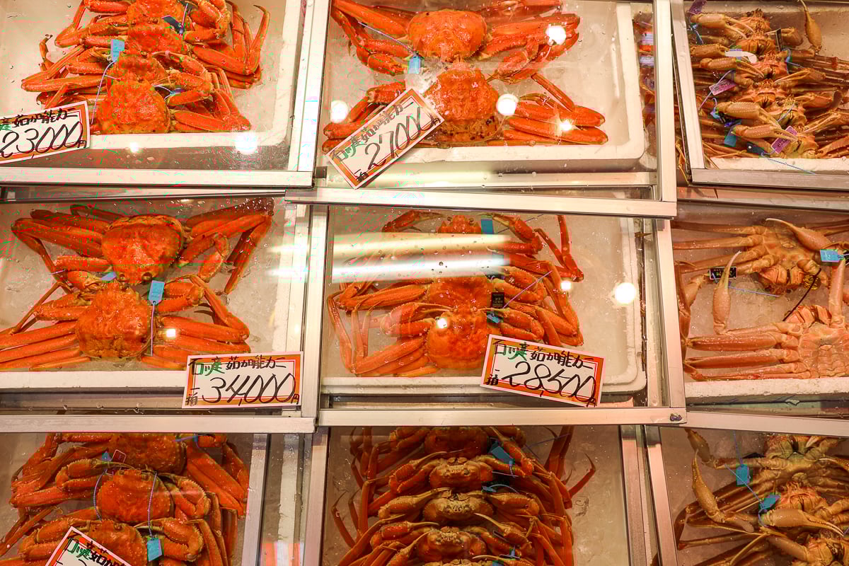 Freshly caught snow crabs displayed on ice at Omicho Market in Kanazawa, Japan, with handwritten price tags in yen.