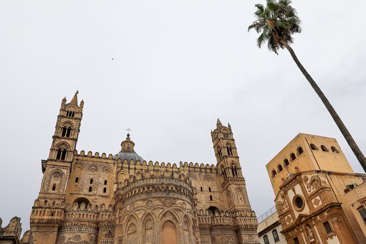 Palermo Cathedral facade with a tall palm tree in the foreground