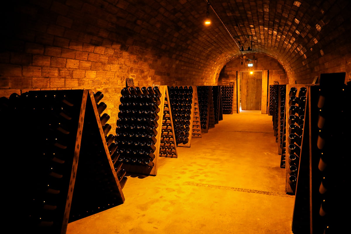 Riddling racks of Champagne bottles aging in the underground cellar at Michel Fagot