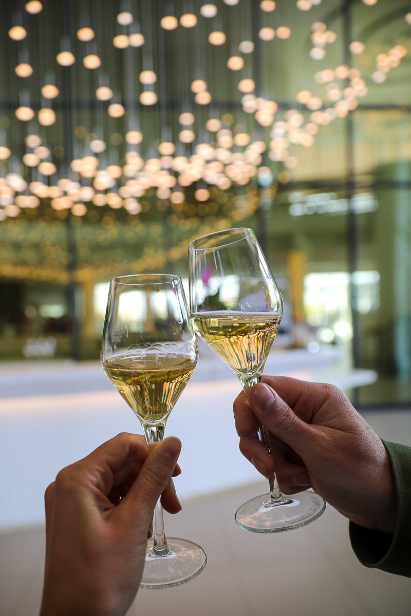 Couple toasting two glasses of Champagne during a tasting on a Champagne day trip from Paris