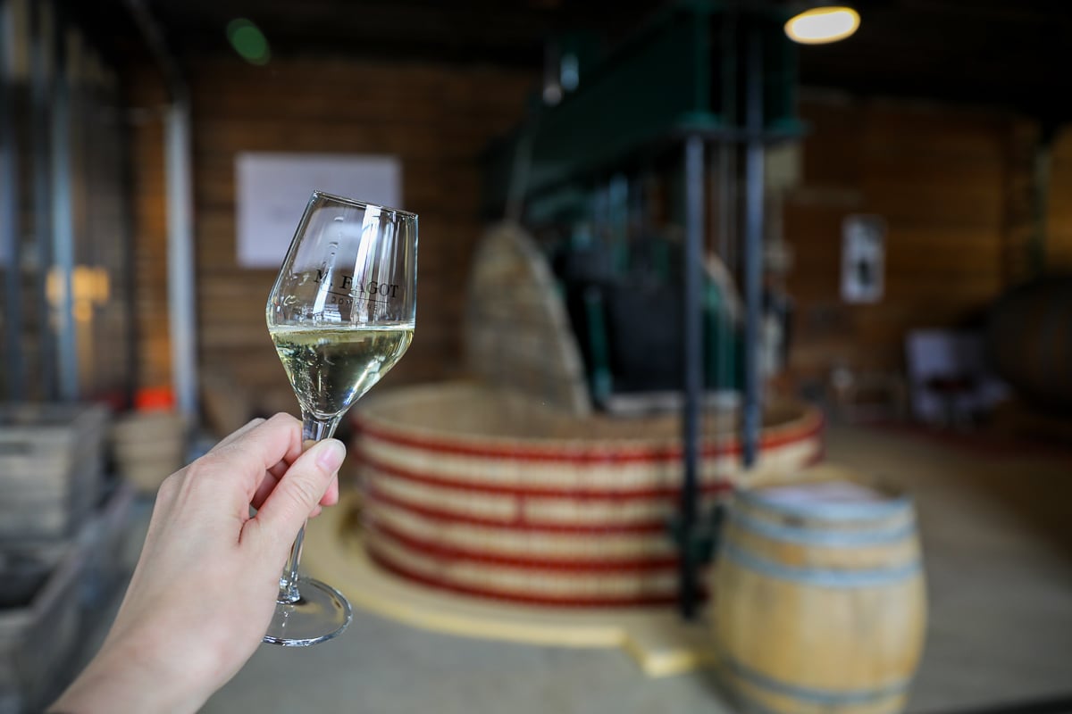 Hand holding a glass of Champagne in front of a traditional wine press at Michel Fagot