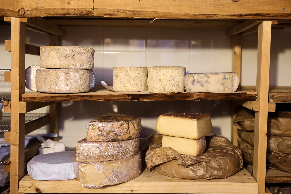 Close-up of aging cheeses on wooden cellar shelves, including a wedge of blue cheese and stacked rinded wheels.