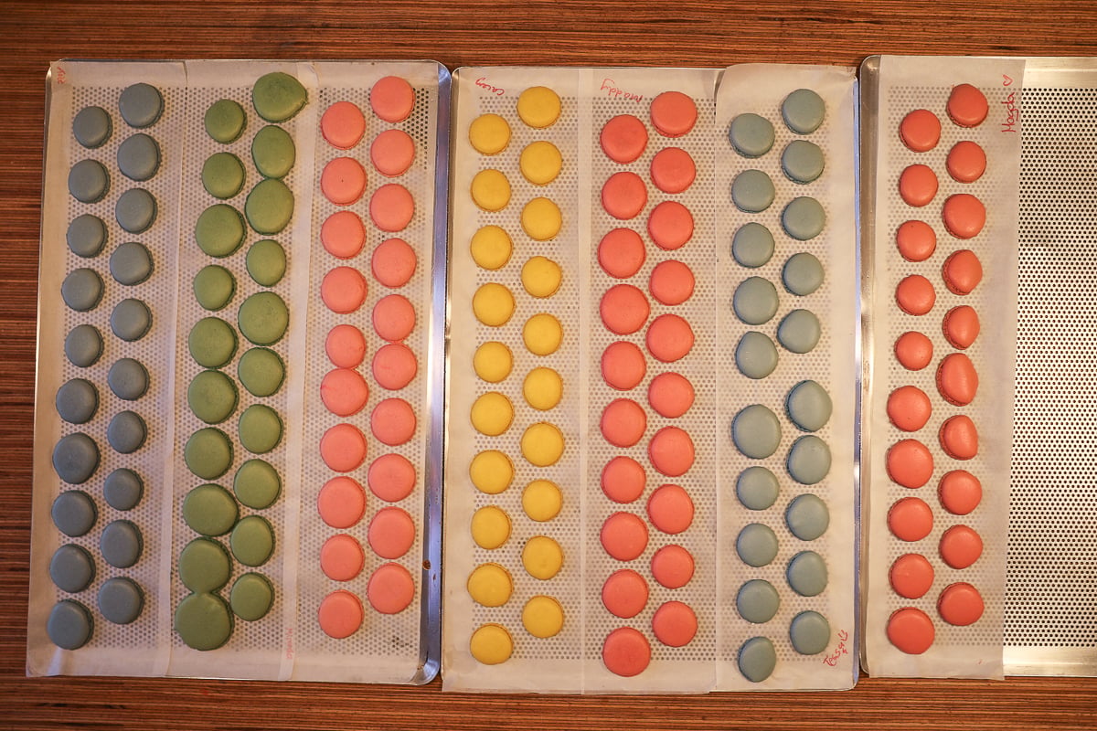 Several trays of baked macaron shells in blue, green, pink, and yellow, labeled with students' names.