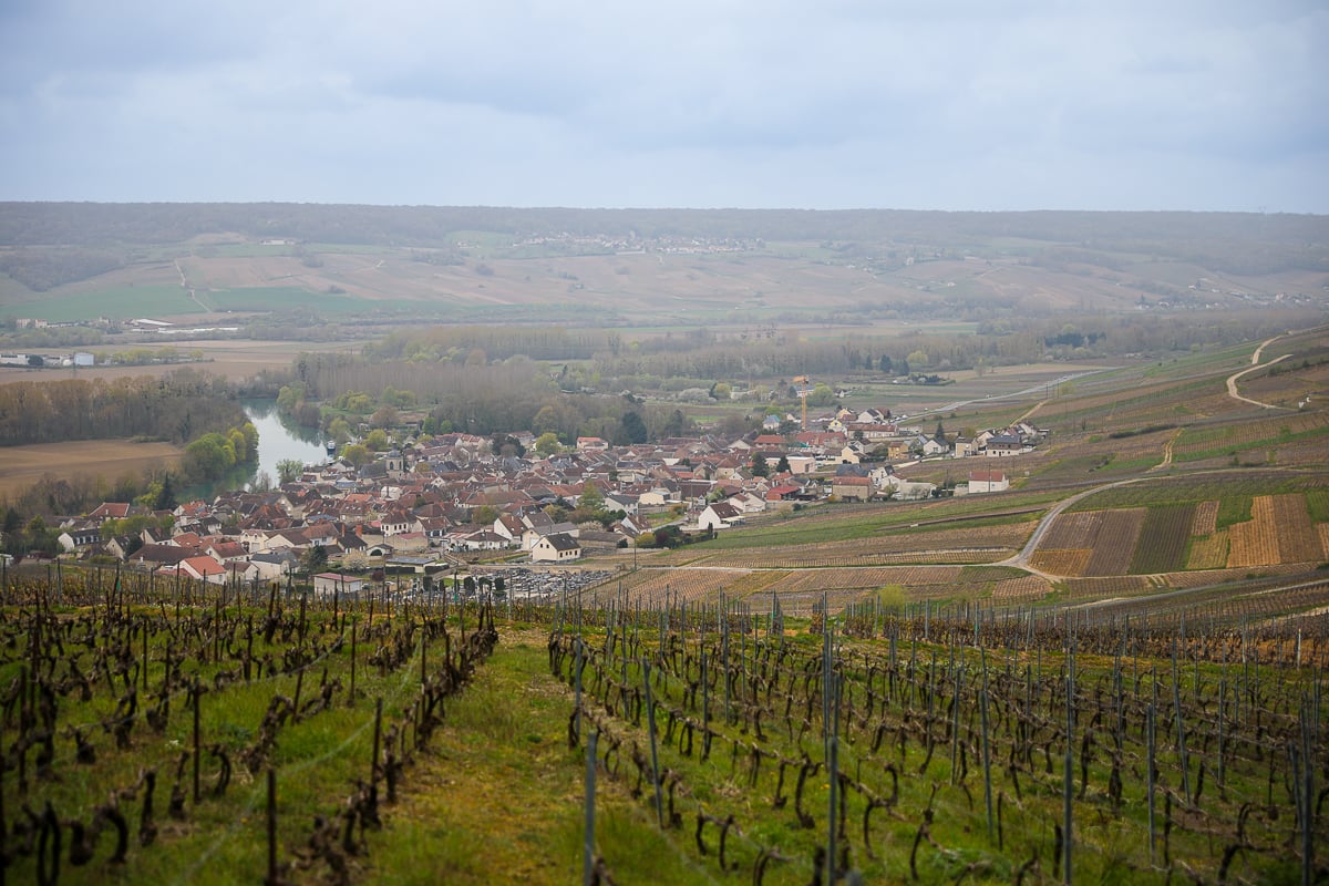 Sweeping view of vineyards, a village, and the Marne River in the Champagne region