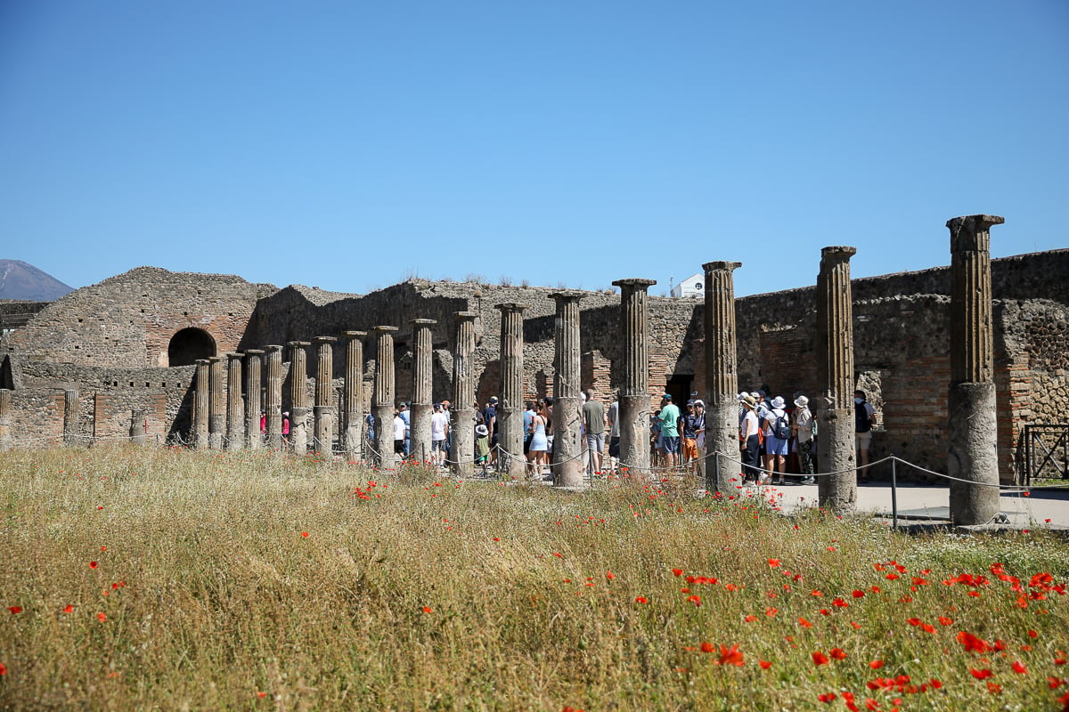 A line of ancient stone columns at the Pompeii archaeological site with field flowers in the foreground and a group of tourists walking through the ruins under a clear blue sky.