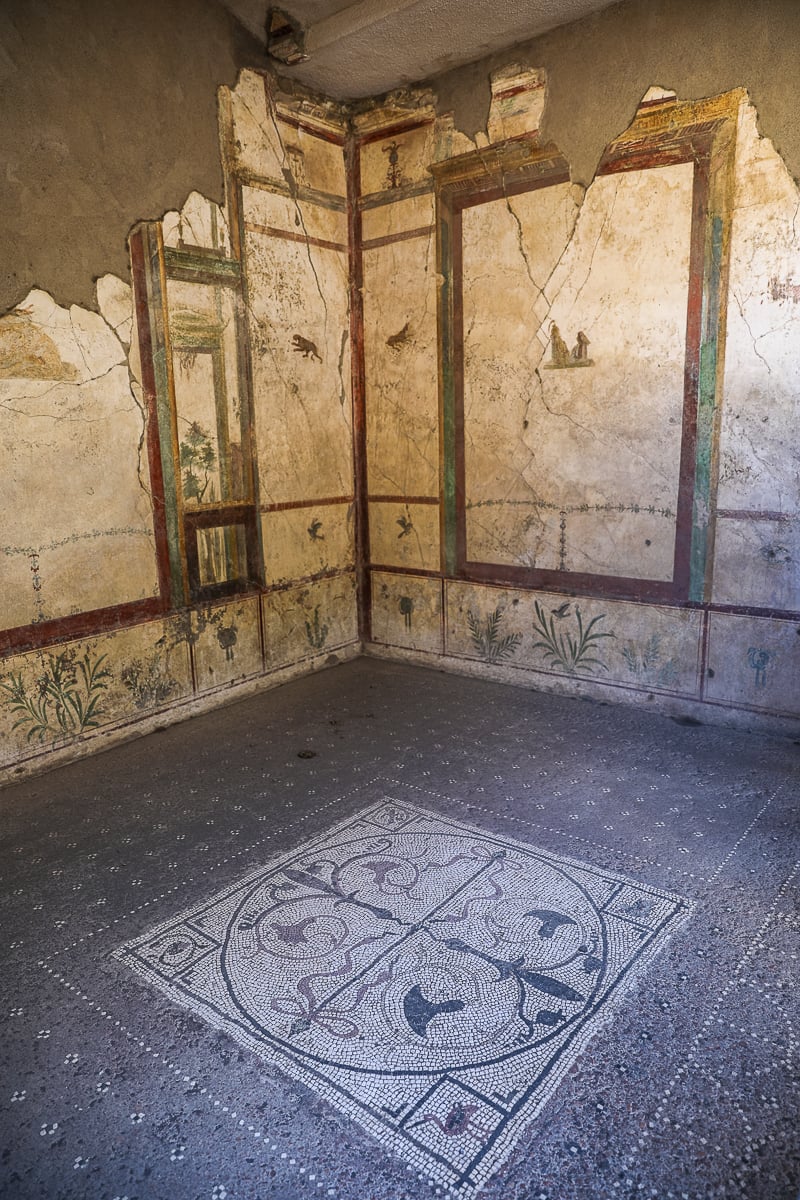An interior room in Pompeii featuring an intricate geometric black and white mosaic floor and elaborate wall paintings with delicate botanical designs.