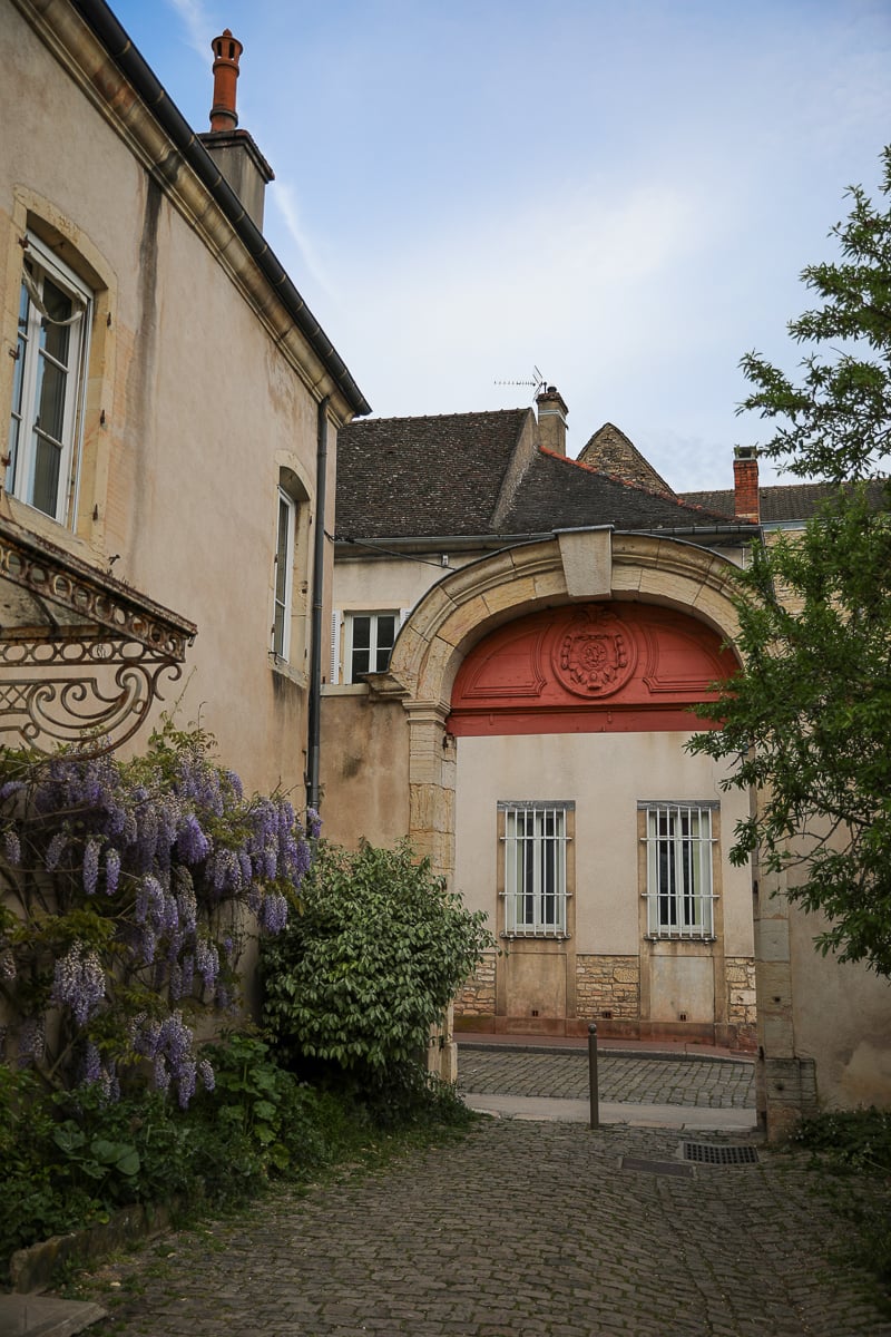 Quiet cobblestone lane with historic stone buildings and flowering wisteria in Burgundy