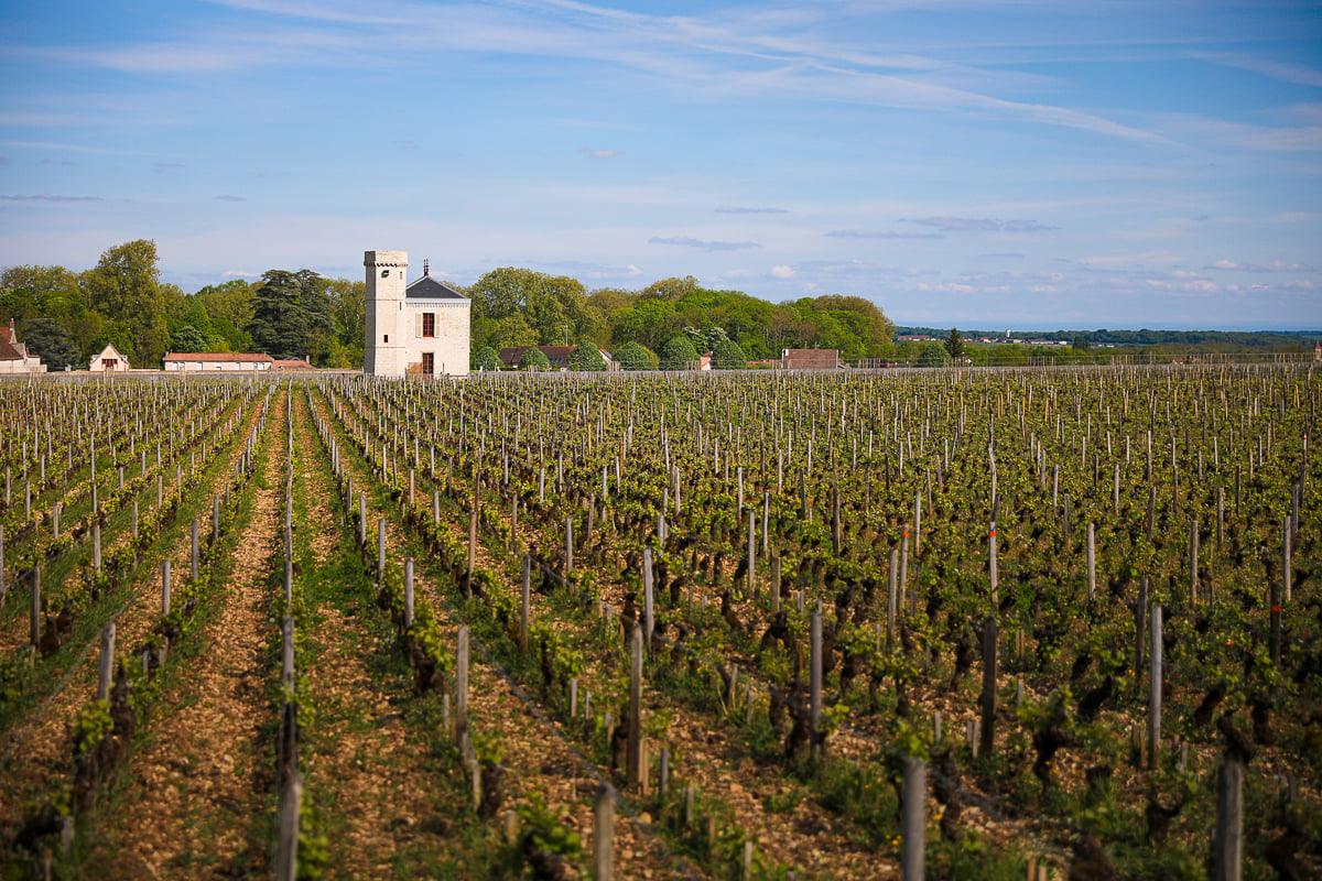 Rows of grapevines surrounding a historic stone tower in Burgundy’s Côte d’Or wine region