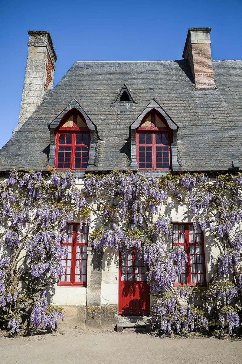 A stone house at Chenonceau with purple wisteria climbing across its facade, featuring a steep slate roof, two dormer windows, red-framed windows, and a central red door under a clear sky.